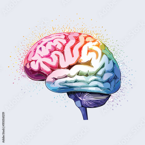 Colorful brain illustration on a light background