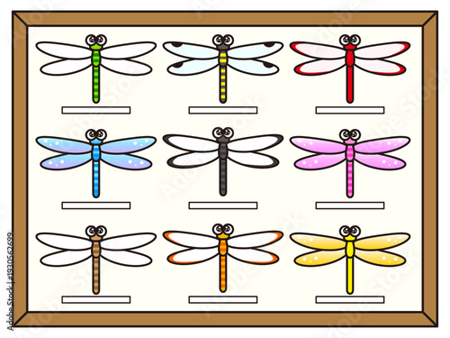 トンボの標本のイラスト素材