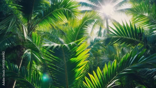 emerald wild nature Lush Green Palm Fronds Swaying Gently in the Tropical Sunlight Through Dense Forest Canopy