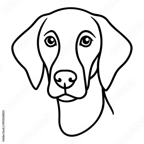 beagle dog vector illustration