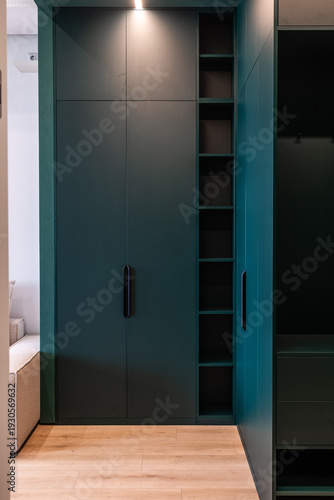 Принти на полотні Matte teal wardrobe with built-in open shelves