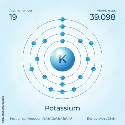 Detailed 2026 Potassium Bohr model for medical students highlighting alkali metal structure and 19 protons for nutrition studies.