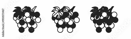Grape icon on white background. Vector logo grape illustration.