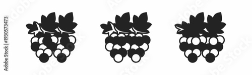Grape icon on white background. Vector logo grape illustration.