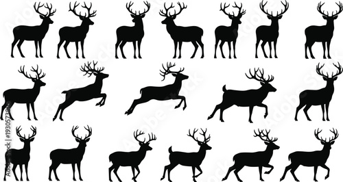 Deer silhouettes collection featuring stag and buck in standing and jumping poses, detailed wildlife animal set in black and white vector illustration