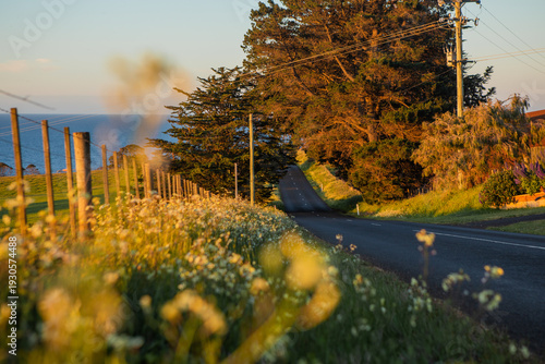 Sunset Light on Coastal Road in Tasmania, Australia