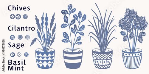 Illustration of chives cilantro sage basil and mint in pots