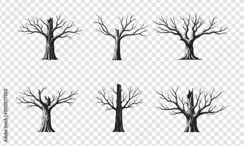 Set of dead tree silhouettes without leaves isolated on transparent background for spooky forest landscape decoration