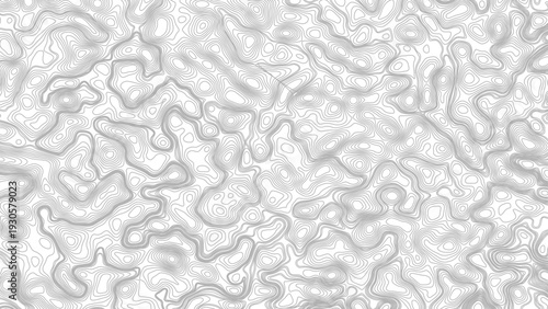 Topography background. Vector banner. Topography map background. Vector geographic contour map. Background of the topographic map. Topographic map lines, contour background.	