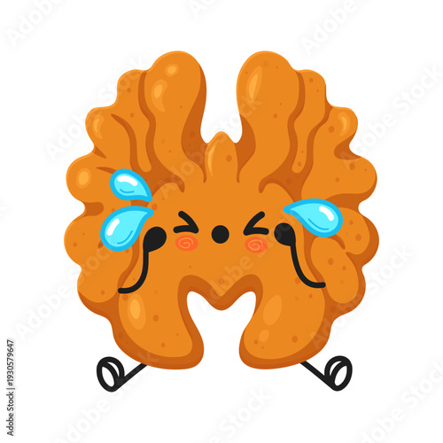 Cute crying walnut kernel mascot emoji character