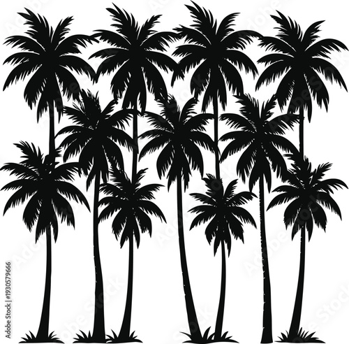 Black silhouettes of palm trees on white background