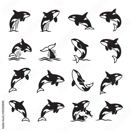 Orca Killer Whale Collection Icons Set Vector Illustration Stylized Marine Mammal