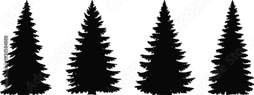 Set of evergreen pine tree silhouettes, black conifer forest collection isolated on white background, natural woodland element, flat vector illustration for landscape and holiday design