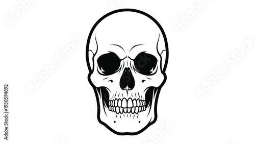 A detailed black and white illustration of a human skull on a plain white background with a bold outline.