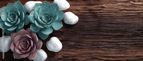Obraz  z motywem Succulent plants with dew drops and smooth stones on a dark wooden surface