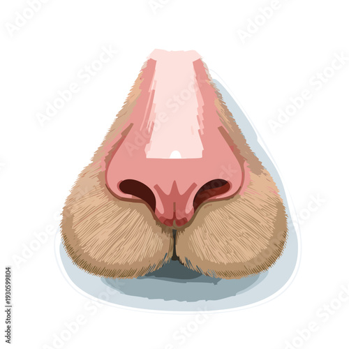 Close up illustration of a nose