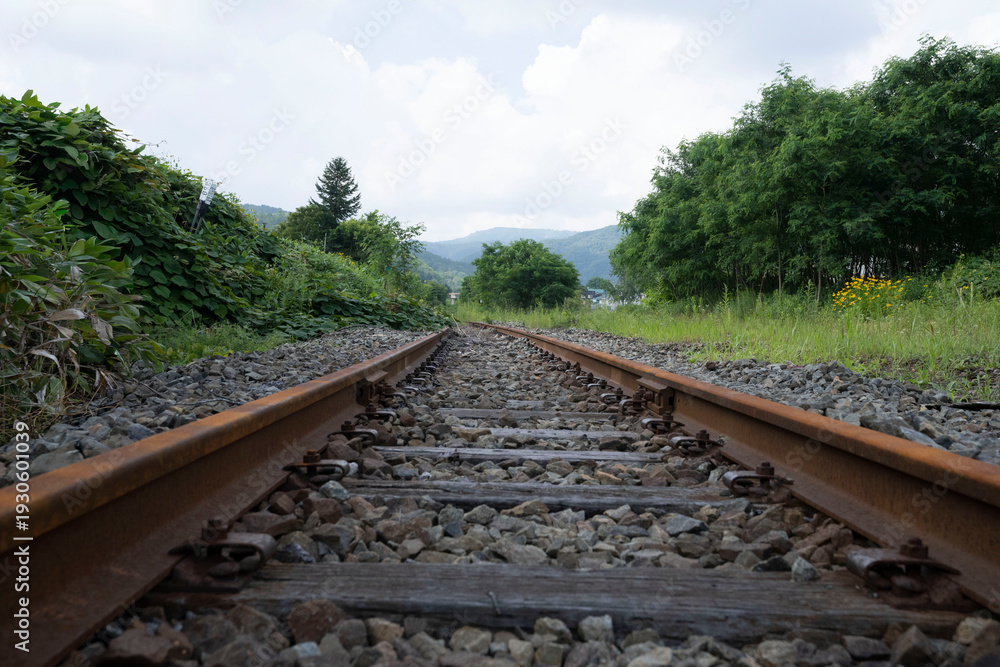 Obraz premium 田舎の廃線になった線路