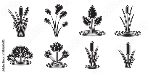 Water plants illustration vector wetland flora reeds flowers in water different styles