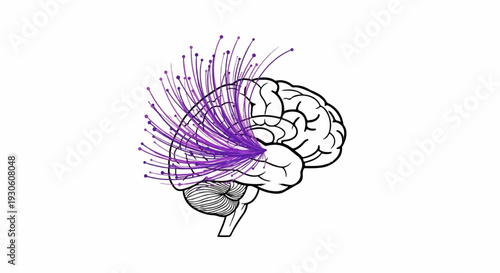 Stylized brain with radiating purple neural pathways
