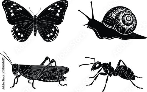 Butterfly, snail, grasshopper, and ant vector illustration, black and white insect and mollusk drawings, educational biology artwork, detailed silhouette design
