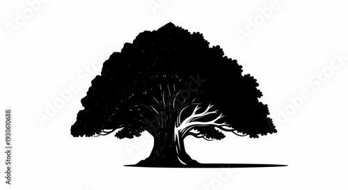 Stylized silhouette of a large, mature tree with a sprawling canopy