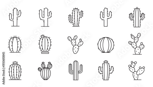 Cactus plants set vector illustration featuring desert succulent icons with spines and prickly heat