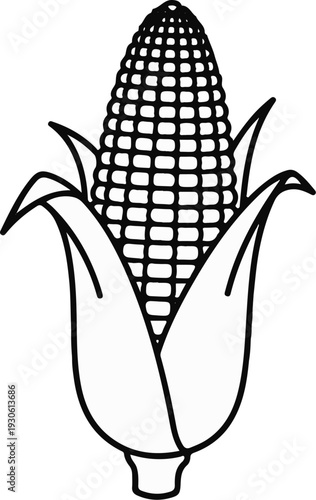 Stylized illustration of a corn cob with husks and kernels visible