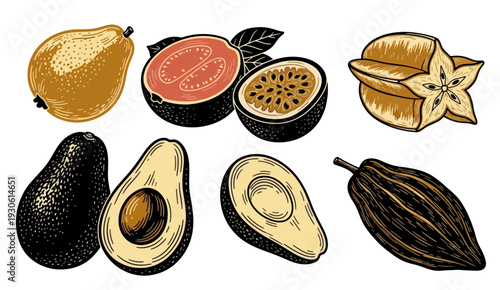 Hand-drawn tropical fruits illustration with avocado, starfruit, and guava