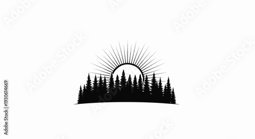 Sunrise behind a silhouetted forest of pine trees