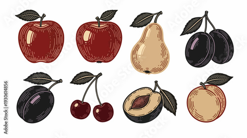 Collection of hand-drawn fruits including apples, pears, and cherries