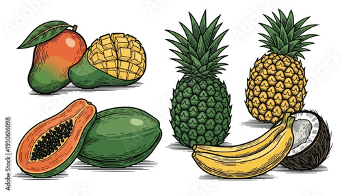 Colorful tropical fruit illustration with mango, pineapple, papaya, and banana