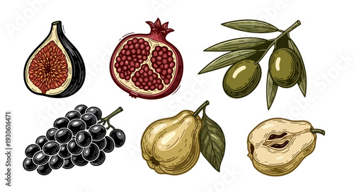 Hand-drawn illustration of assorted fruits with figs, pomegranate, and grapes