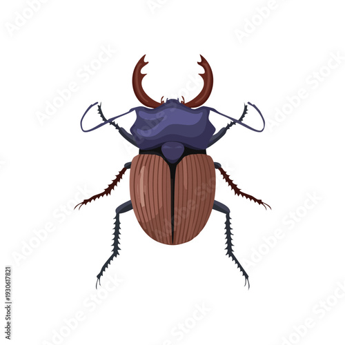 Colorful illustration of a stag beetle on white background