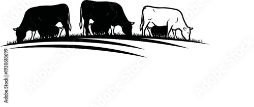 Three cows grazing on a grassy hill, two black, one white outline