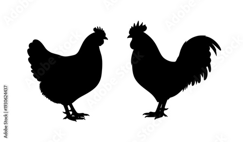 Farm hen and rooster black silhouette vector set isolated on white