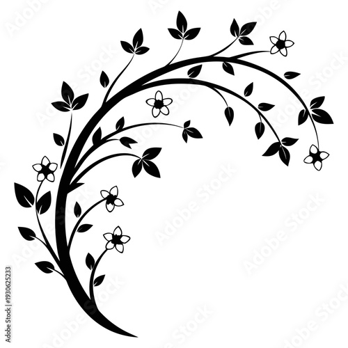 Black and white floral arc with leaves and flowers botanical