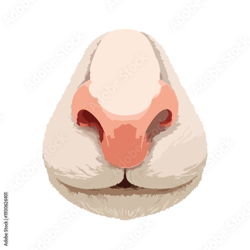 Close up of a bunny nose with pink color details against white