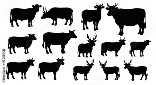 Collection of Deer Silhouettes Various Poses.