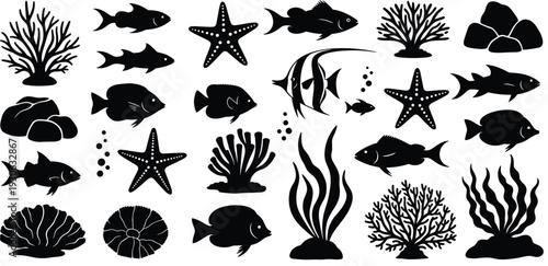 Silhouette vector illustration of marine life, underwater ecosystem artwork, ocean wildlife icons, coral reef design elements, sea creatures, aquatic biodiversity graphics