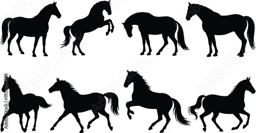 Horse silhouette vector illustration with diverse poses showing standing rearing walking and trotting animals