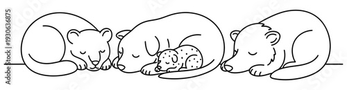 A mother cat and her kittens sleeping together peacefully on a serene surface viewed from the side illustration