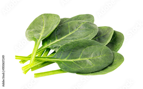 Fresh baby spinach leaves showing healthy food concept