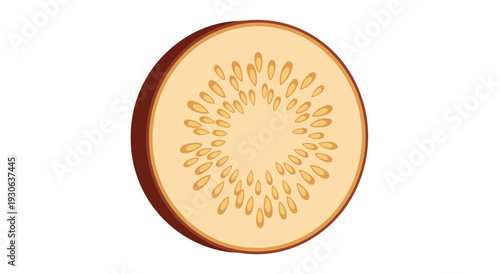 Fresh Slice of Fruit Illustration - Vector Graphic