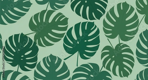 Tropical monstera leaves pattern on green background.