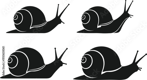 Snail silhouette vector illustration, black and white artwork, spiral shell design, mollusk drawing concept, nature pattern artwork, decorative animal icon