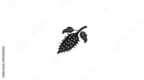 A monochrome illustration features a spiky fruit with leaves on a stem against a white background