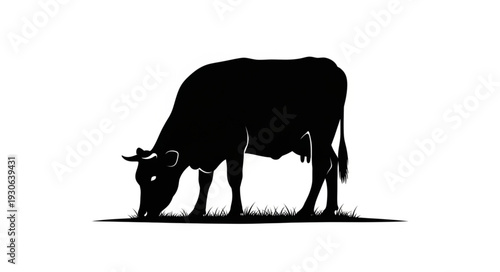 Cow Silhouette Grazing on Grass.