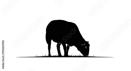 Cow Grazing Silhouette Black.