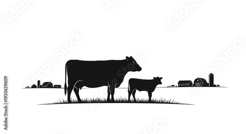 Cow and Calf Silhouette Farm Scene.