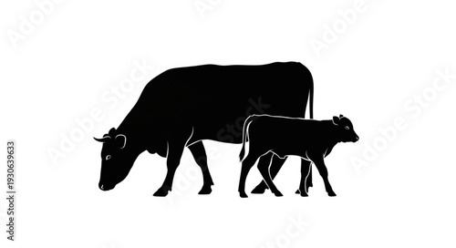 Cow and Calf Silhouette Illustration.